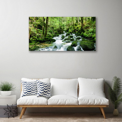 Canvas doek foto Bos stroom river falls