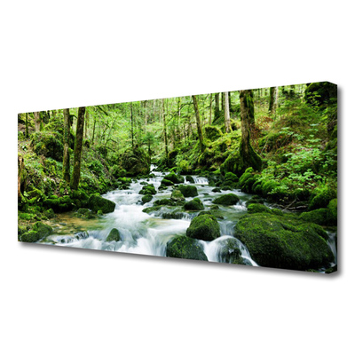 Canvas doek foto Bos stroom river falls