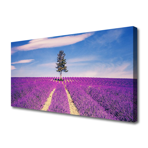 Canvas doek foto Gebied van de lavendel weide tree