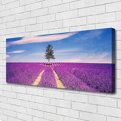 Canvas doek foto Gebied van de lavendel weide tree