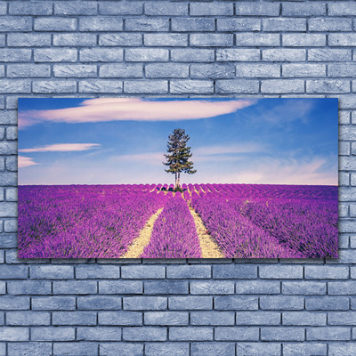 Canvas doek foto Gebied van de lavendel weide tree