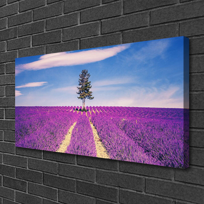 Canvas doek foto Gebied van de lavendel weide tree