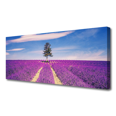 Canvas doek foto Gebied van de lavendel weide tree