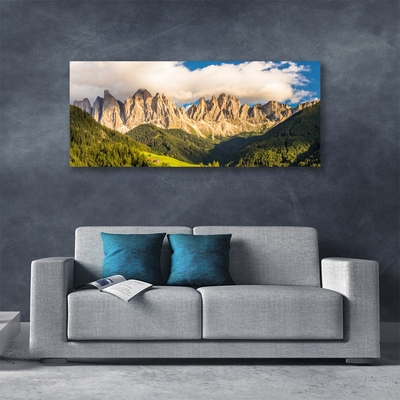 Canvas doek foto Toppen bergen wolken forest meadow