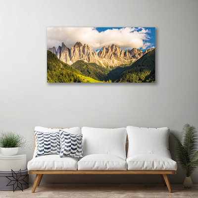 Canvas doek foto Toppen bergen wolken forest meadow