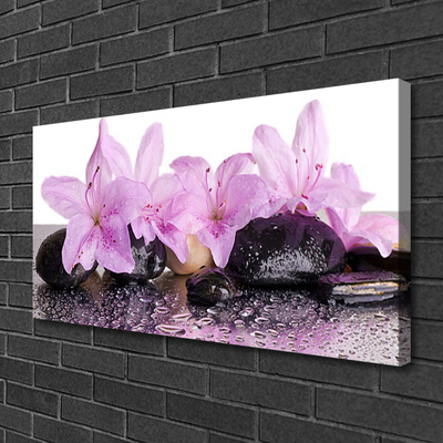 Canvas doek foto Bloemen van de waterlelie rosa