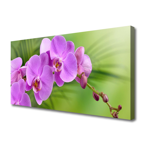 Canvas doek foto Orchidee orchidee bloemen