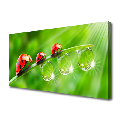 Canvas doek foto Lieveheersbeestje op een blad drops