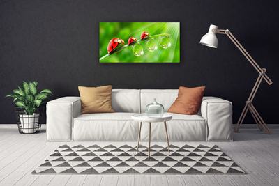 Canvas doek foto Lieveheersbeestje op een blad drops