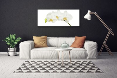 Canvas doek foto Shoots orchideebloemen nature