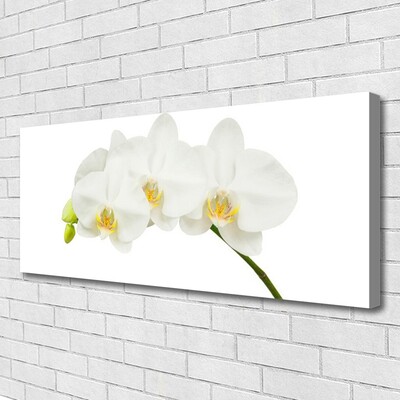 Canvas doek foto Shoots orchideebloemen nature