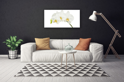 Canvas doek foto Shoots orchideebloemen nature