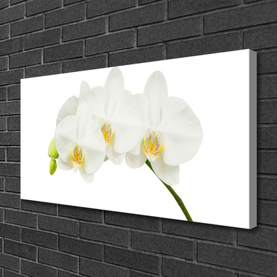 Canvas doek foto Shoots orchideebloemen nature