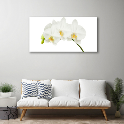 Canvas doek foto Shoots orchideebloemen nature