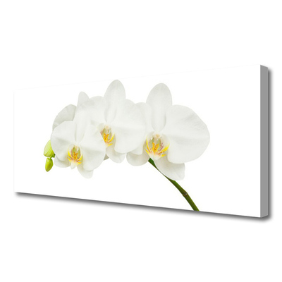 Canvas doek foto Shoots orchideebloemen nature