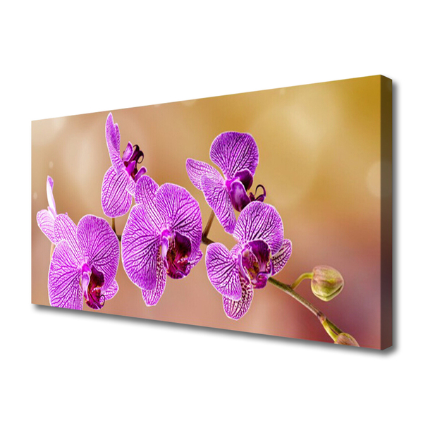 Canvas doek foto Shoots orchideebloemen nature