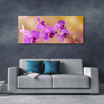 Canvas doek foto Shoots orchideebloemen nature