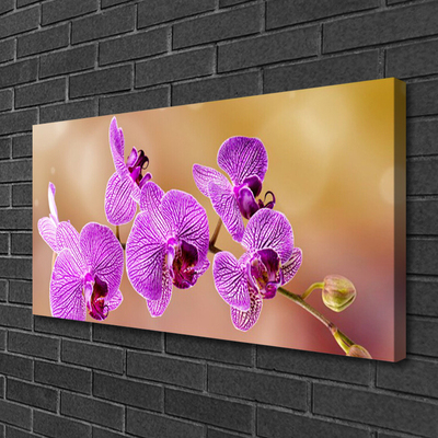 Canvas doek foto Shoots orchideebloemen nature