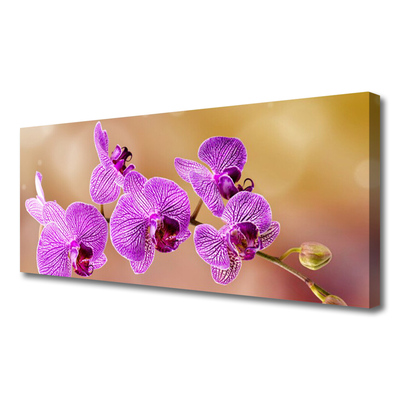 Canvas doek foto Shoots orchideebloemen nature