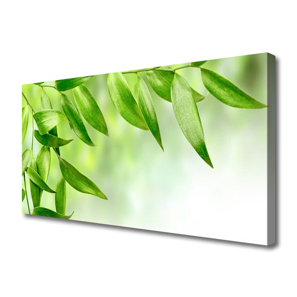 Canvas doek foto Green leaves nature