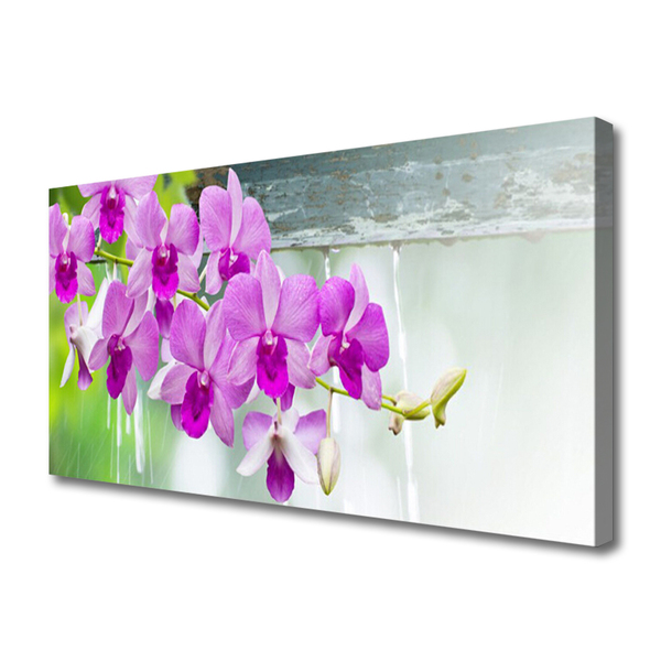 Foto op canvas Orchids nature drops