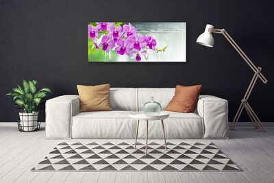 Foto op canvas Orchids nature drops