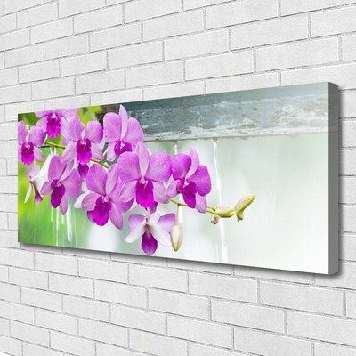 Foto op canvas Orchids nature drops