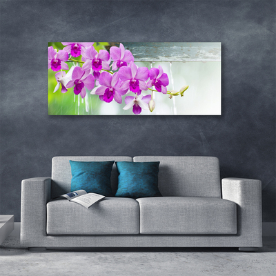 Foto op canvas Orchids nature drops