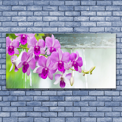 Foto op canvas Orchids nature drops