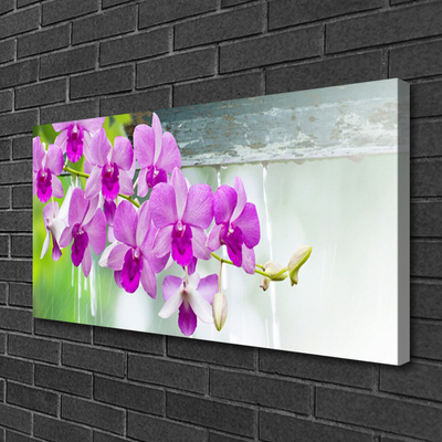 Foto op canvas Orchids nature drops