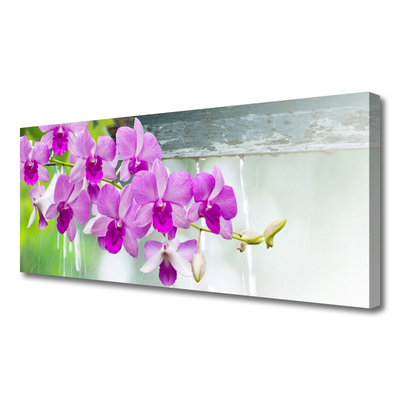 Foto op canvas Orchids nature drops