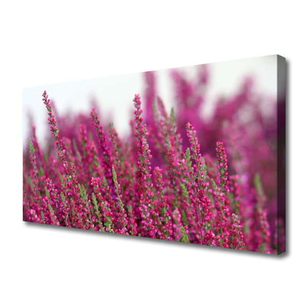 Foto op canvas Bloemen weide natuur plant