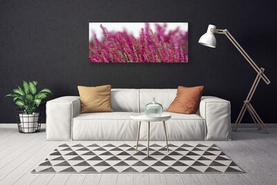 Foto op canvas Bloemen weide natuur plant