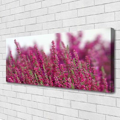 Foto op canvas Bloemen weide natuur plant