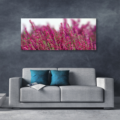 Foto op canvas Bloemen weide natuur plant