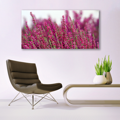 Foto op canvas Bloemen weide natuur plant