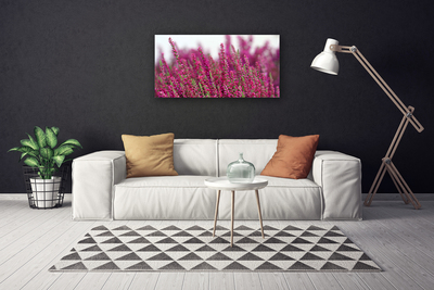 Foto op canvas Bloemen weide natuur plant