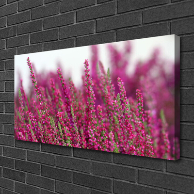 Foto op canvas Bloemen weide natuur plant