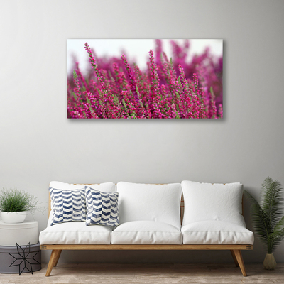 Foto op canvas Bloemen weide natuur plant