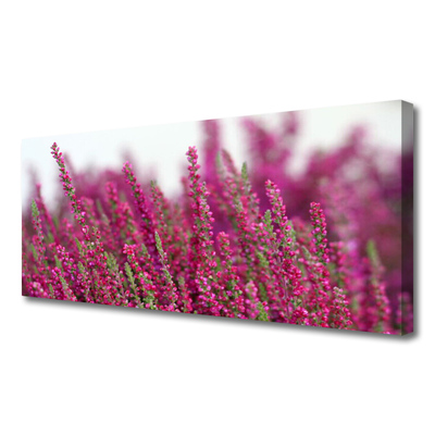 Foto op canvas Bloemen weide natuur plant