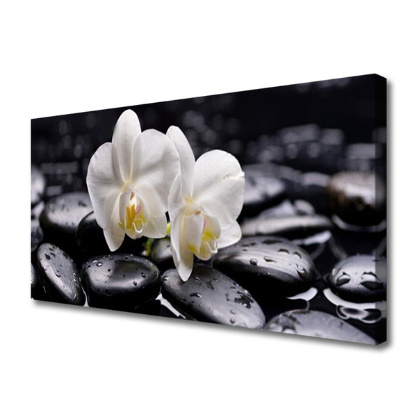Foto op canvas Zen white orchid spa