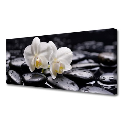 Foto op canvas Zen white orchid spa