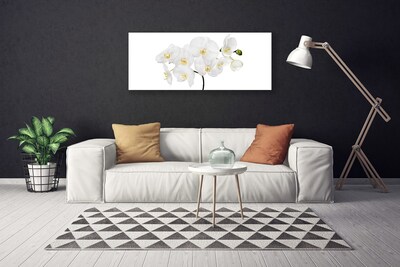 Foto op canvas Witte bloemen van de orchidee