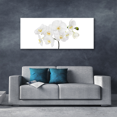 Foto op canvas Witte bloemen van de orchidee