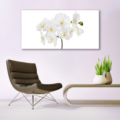 Foto op canvas Witte bloemen van de orchidee