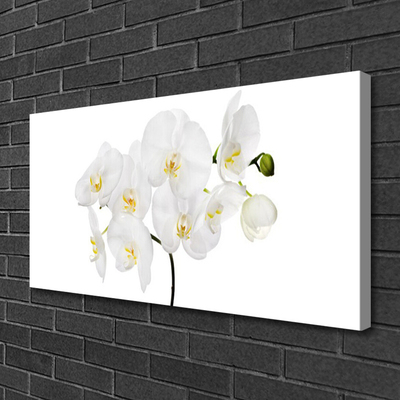 Foto op canvas Witte bloemen van de orchidee