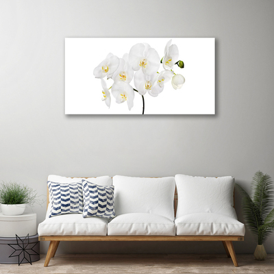 Foto op canvas Witte bloemen van de orchidee