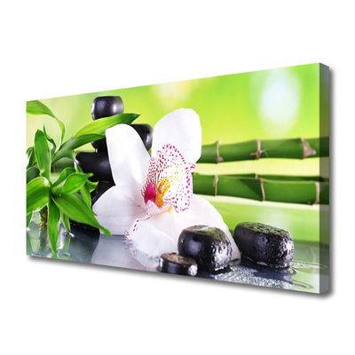 Foto op canvas Orchid bladeren van het bamboe