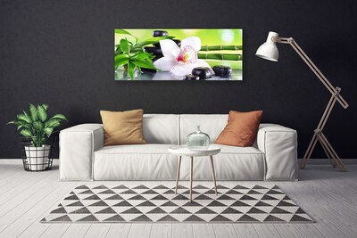 Foto op canvas Orchid bladeren van het bamboe