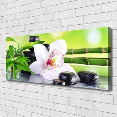 Foto op canvas Orchid bladeren van het bamboe